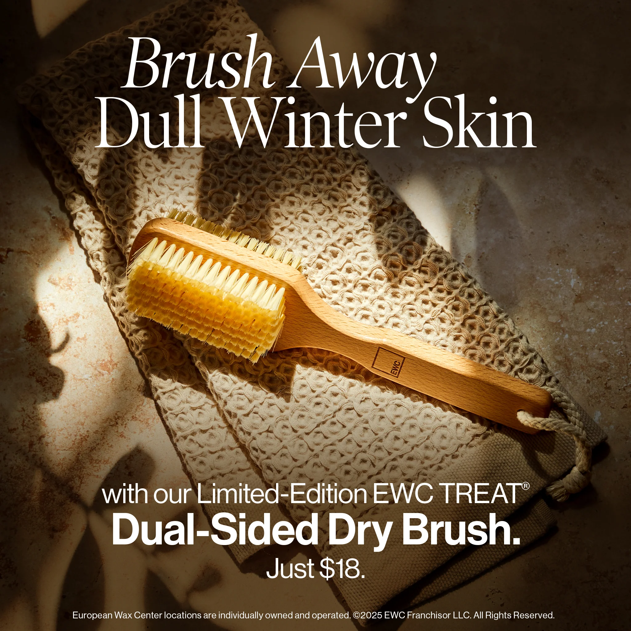 Dual-Sided Dry Brush - Image 6